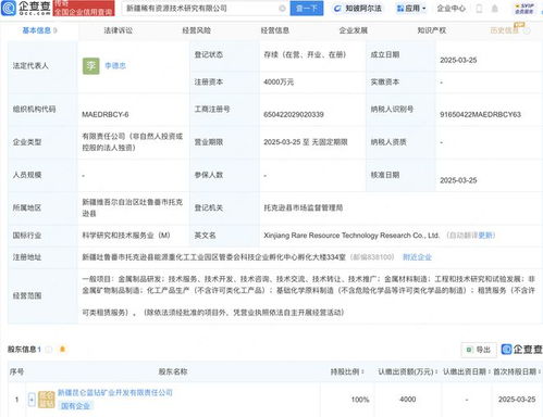 新疆稀有资源技术研究公司登记成立