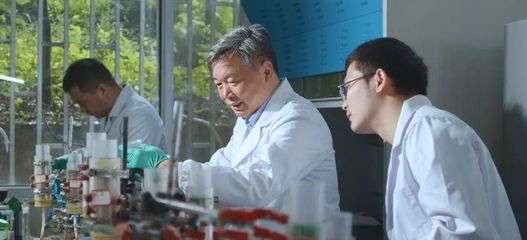 重庆研究院执行副院长刘汉龙教授获重庆市科技突出贡献奖-工程科教战略研究中心