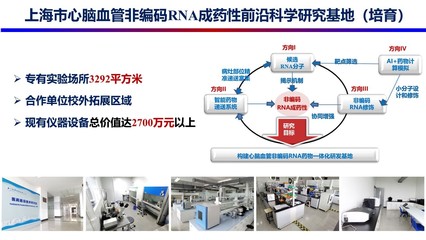 【喜迎党代会】提升有组织科研效能 激活技术创新源动力