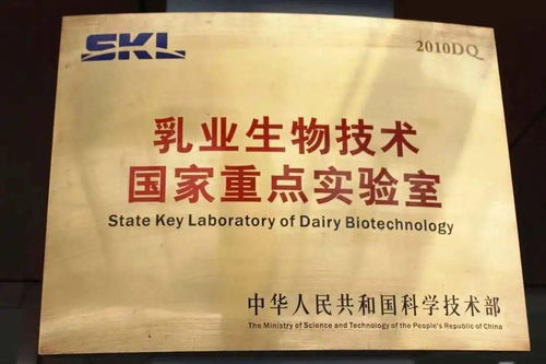 百年光明,为你如一丨迎接新年第一缕光明