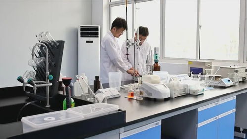 链 上长三角 推进产业共兴民生共享