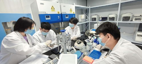 东华大学 ai与生物医药在课堂相遇