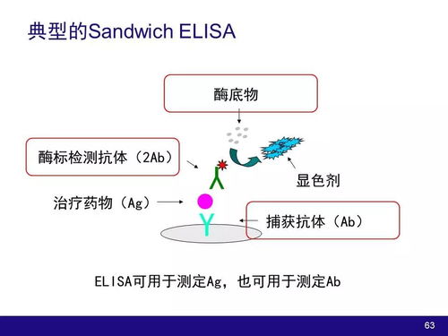 生物技术产品与大分子物质开发中的药动学与药效学因素及工程技术研究