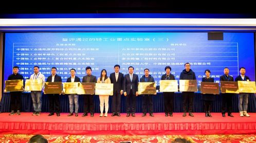 兴业科技再获中国轻工业制革绿色工程重点实验室认定，深耕皮革绿色工程领域